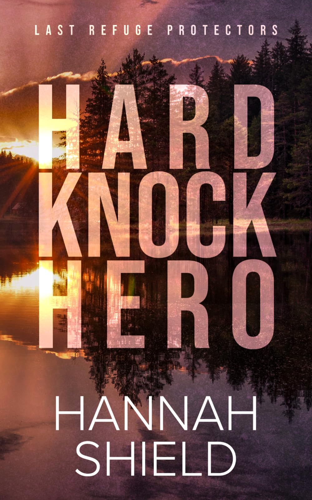 Hard Knock Hero (Last Refuge Protectors)