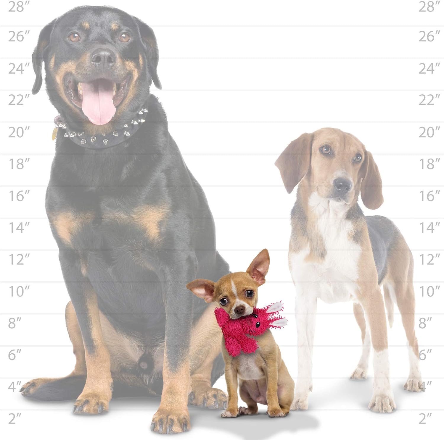 MIGHTY- Microfiber Ball - Farm – Made with Squeaker Balls and Minimal Stuffing. Strong & Tough. Interactive Play. Machine Washable & Floats (Rabbit, Jr 2 Pack)