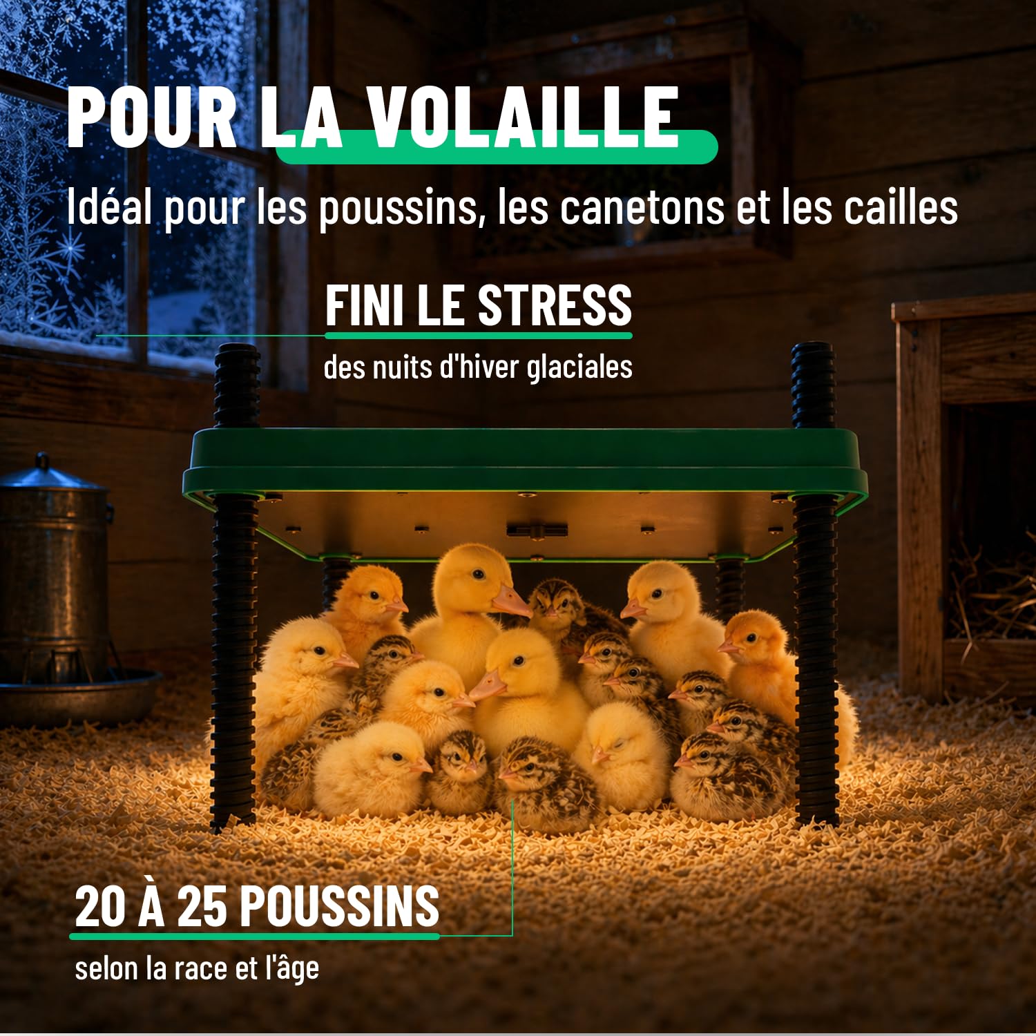 greate Plaque Chauffante Poussin 80 W réglable 10-70 °C avec écran LED - Panneau Chauffant Poussin hauteur réglable 30 x 30 cm - Plaques Chauffantes Abreuvoirs | Plaque chauffante pour poussin - Hauteur réglable de 10 à 70 °C - Avec affichage LED - Plaque