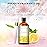 PHATOIL 100ML Lemon Fragrance Oils for Aromatherapy, Diffuser Oils for Home, Perfect for Humidifier, Yoga, DIY Candle and Soap Making - 3.38FL.OZ
