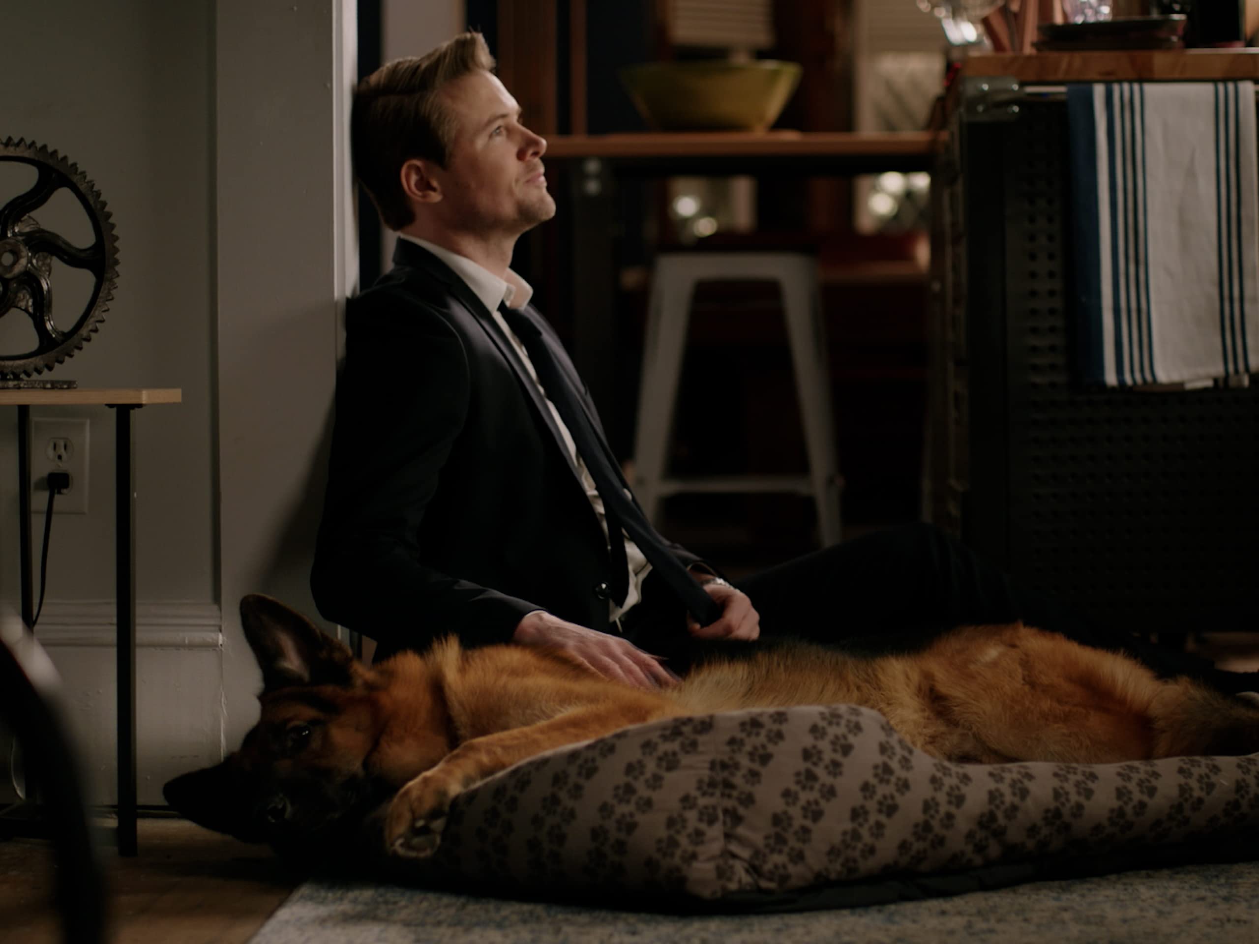 Hudson Et Rex Streaming Watch Hudson & Rex Season 1 | Prime Video