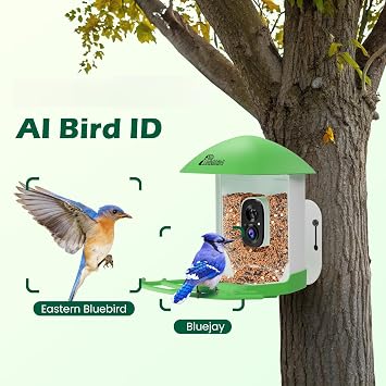 Smart Bird Feeder with Camera, Green