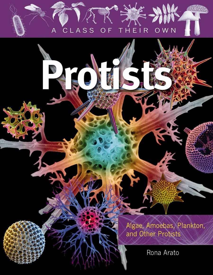 Protists: Algae, Amoebas, Plankton, and Other Protists (A Class of Their Own)