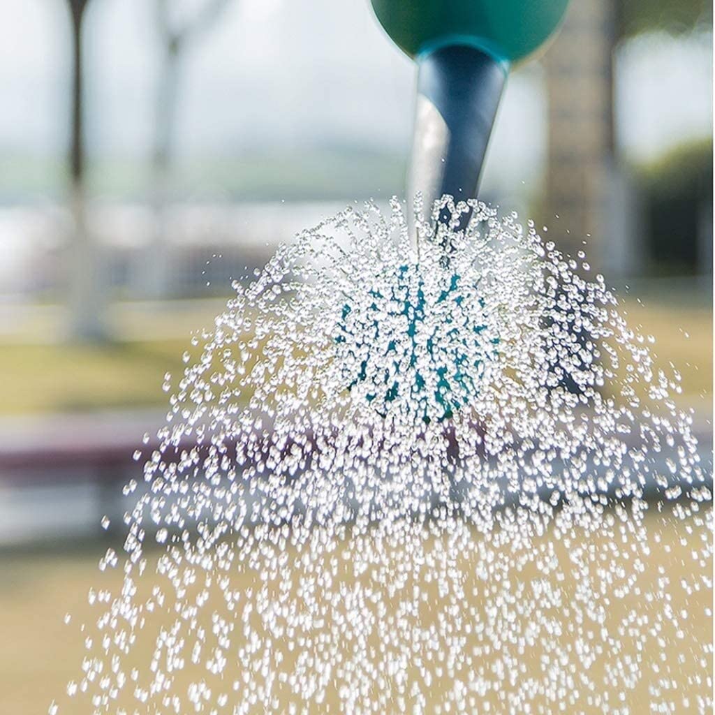 Gießkanne Bewässerung Sprinkler Can 5L Gießkanne, Abnehmbare Gießkanne 2 In 1 Gießkanne Mit Großem Fassungsvermögen Für Indoor Outdoor Garden Gartengießkanne für Außenbereich (Color : Blu)