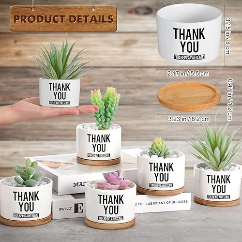 Miniatura 2 de Paquete de 12 mini macetas de cerámica para suculentas con bandeja de bambú, regalo de agradecimiento de Navidad para compañeros de trabajo,