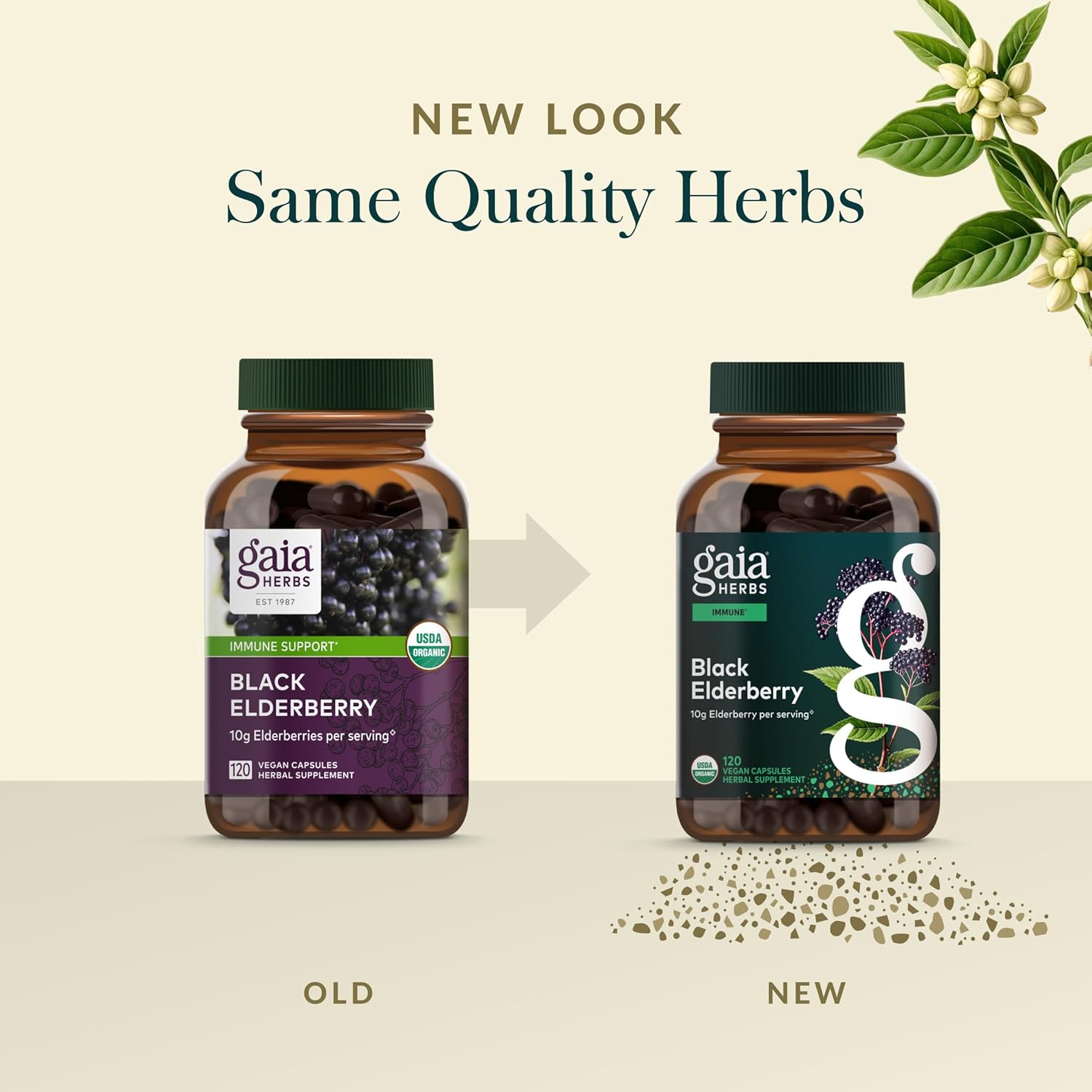 Gaia Herbs Black Elderberry - Daily Immune Support Supplement to Help Support Wellness - with Black Elderberries & Acerola Fruit for Antioxidant Support* - 120 Vegan Capsules (60 Servings) - Image 6