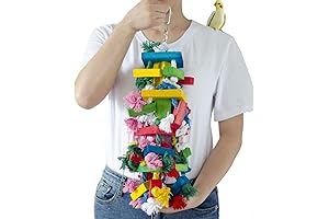 Bird Block Knots Enchanting Wooden Parrot Delight