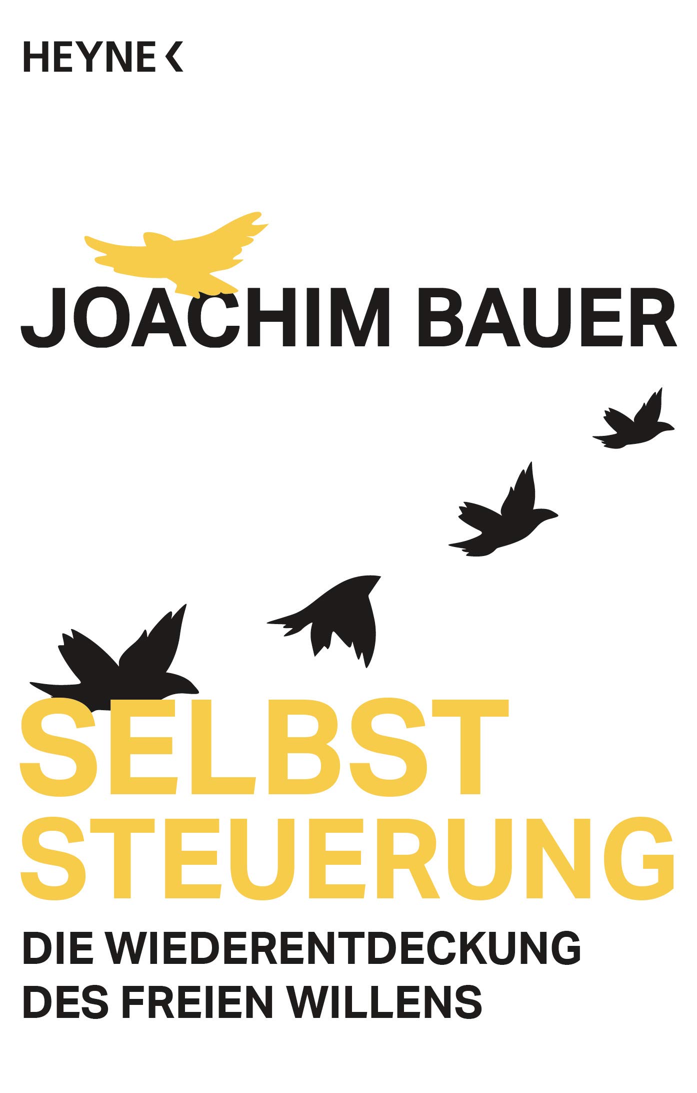 Selbststeuerung: Die Wiederentdeckung des freien Willens