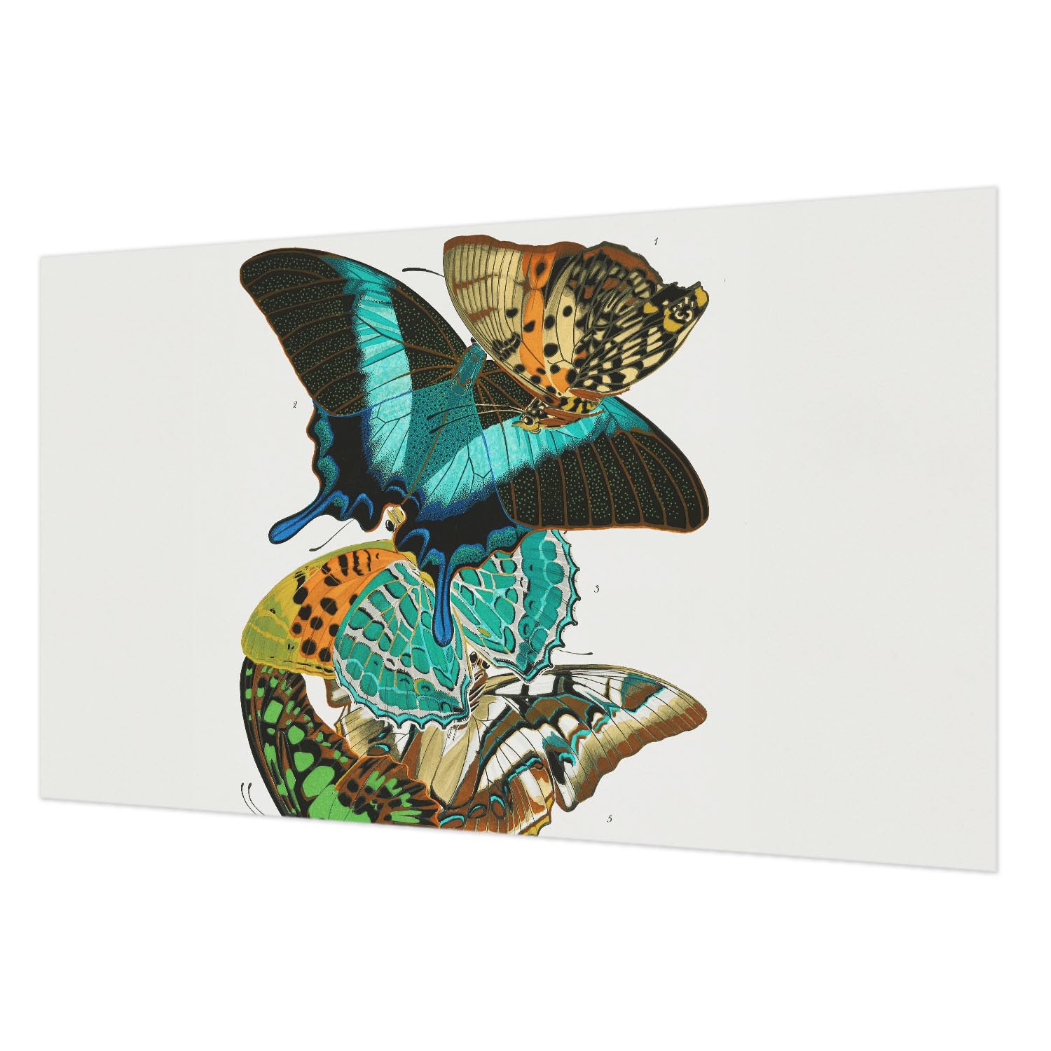 Papier peint mural intissé Tulup 416x254 cm décor papillons colorés pour salon