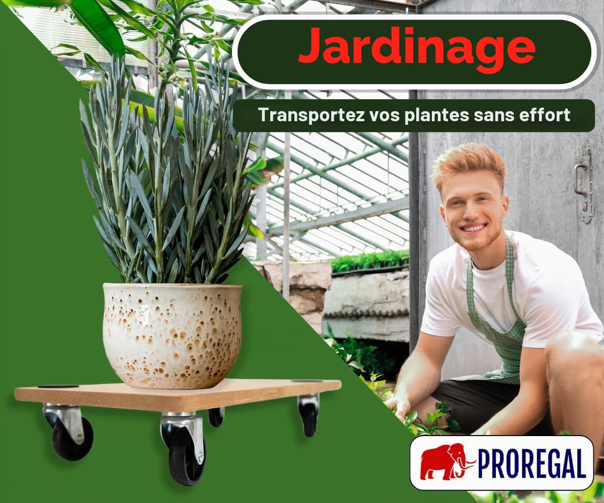 PROREGAL Mega Deal 4X Profi Plateau Roulant Hercules Charge Lourde 30x60cm Capacité de Charge 200kg 4 roulettes en Caoutchouc & poignée Panneau de Bois MDF pour Meuble, Plante & demenagement