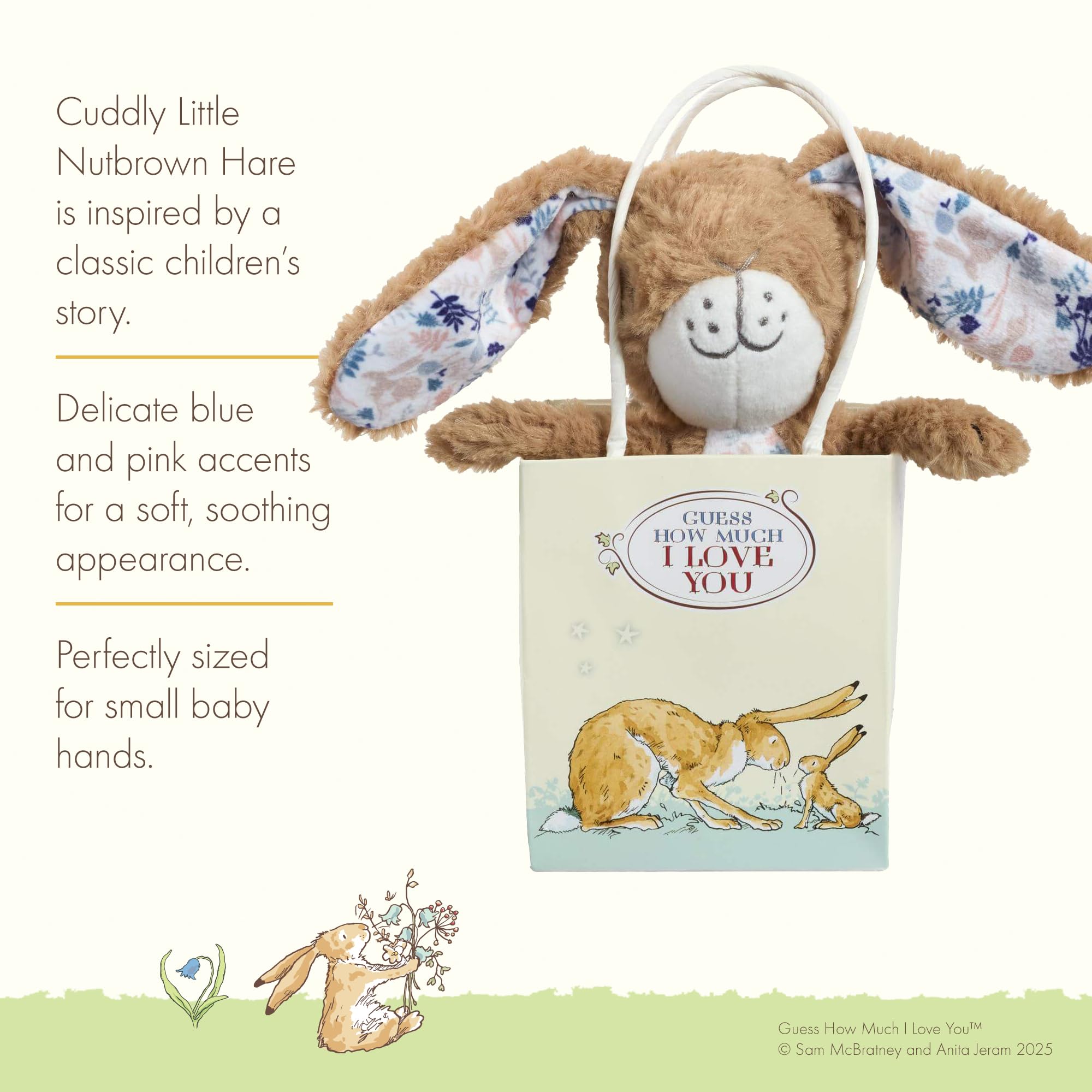 Rainbow Designs Guess How Much I Love You Hare, Soft Baby Teddy with Floppy Ears & Beany Tummy - Image 3