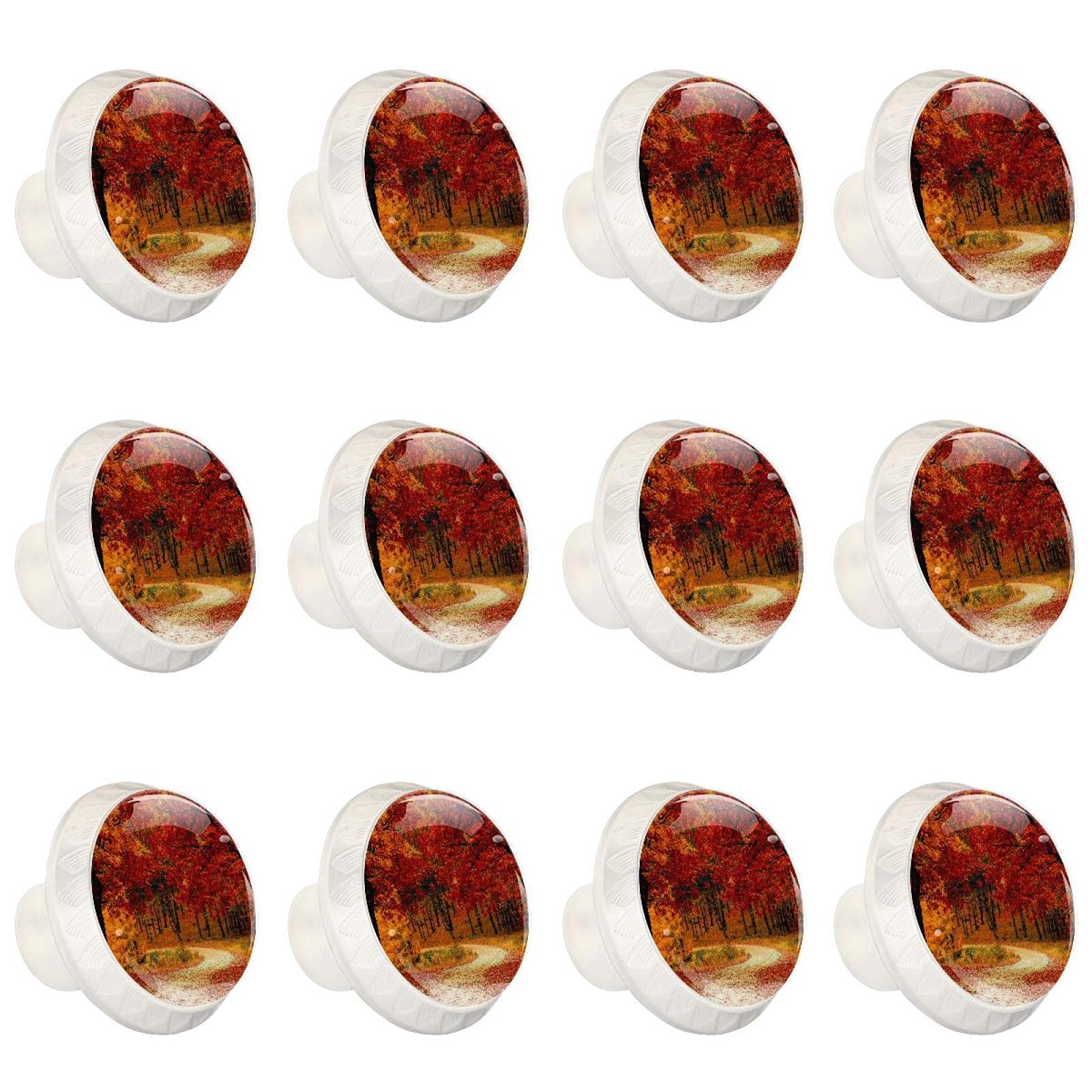 Poignées de meuble haut de gamme ronds orange nature 12 pièces