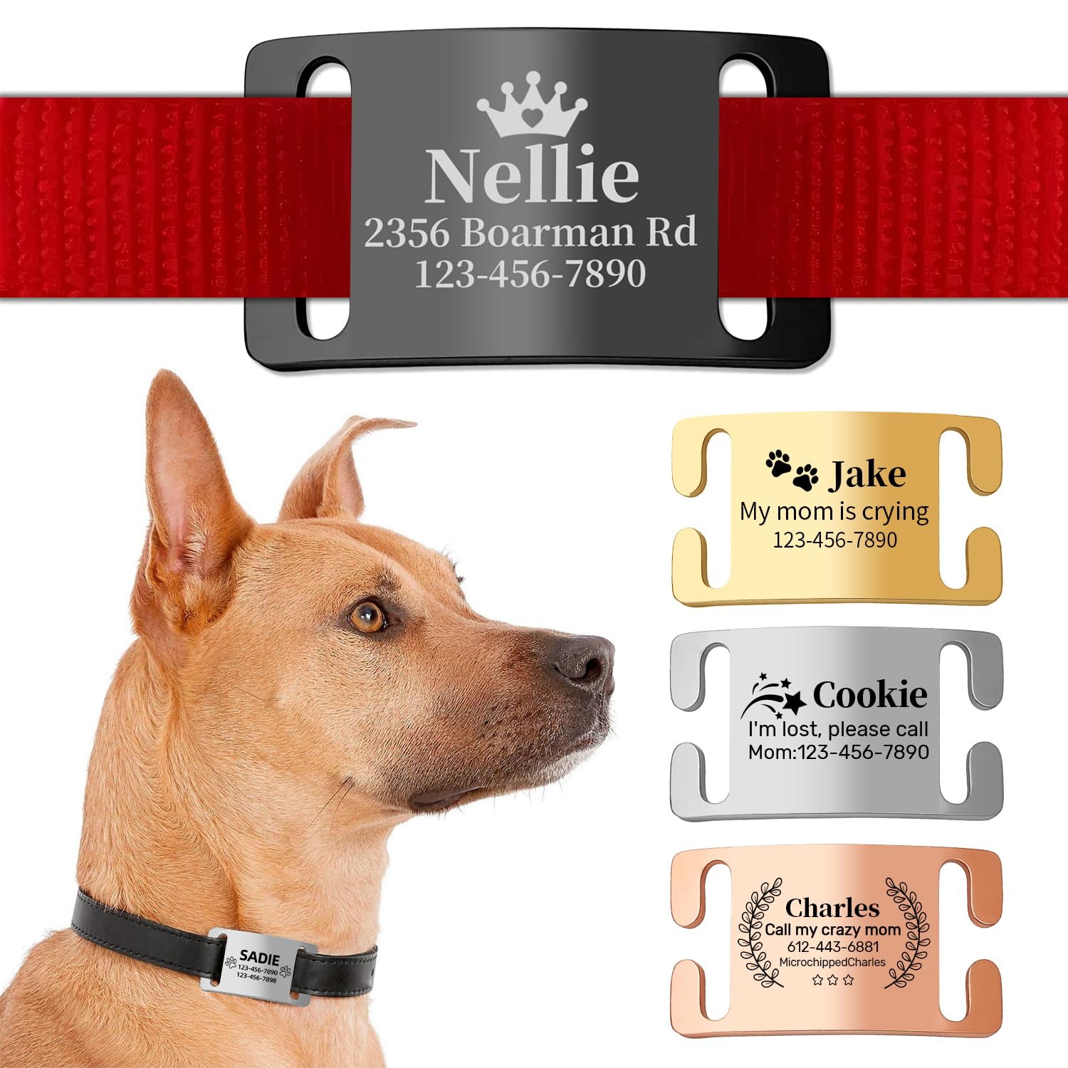 Personalised Dog Tags for Pets Engraved Name Tags, ID Tag, Slide-on Dog Collar Tags - Personalised Dog Identity Tag for Collar,Custom Dog Tags Silent