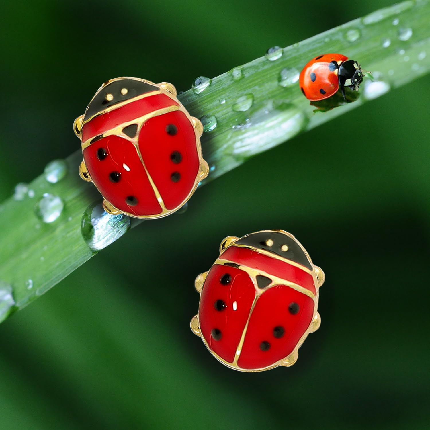 forme di Lucchetta - Orecchini Bimba Oro giallo Portafortuna con Coccinella (abbinabile a braccialetto o collanina), Orecchini Bambina Ragazza d'Oro Vero