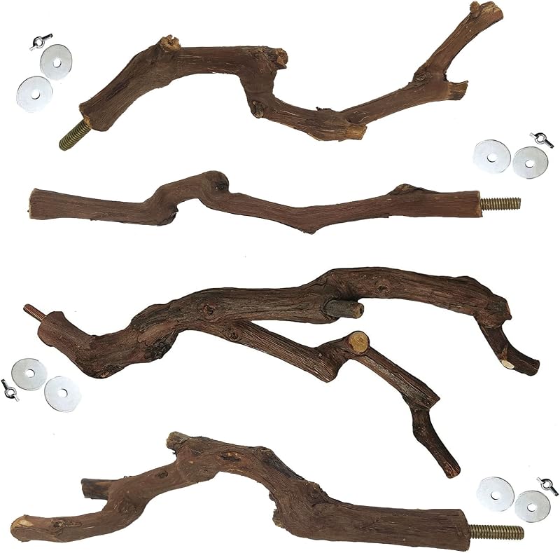Poleiro para Aves em Videira Natural kathson com Ramificações e Instalação sem Ferramentas, Pacote com 4