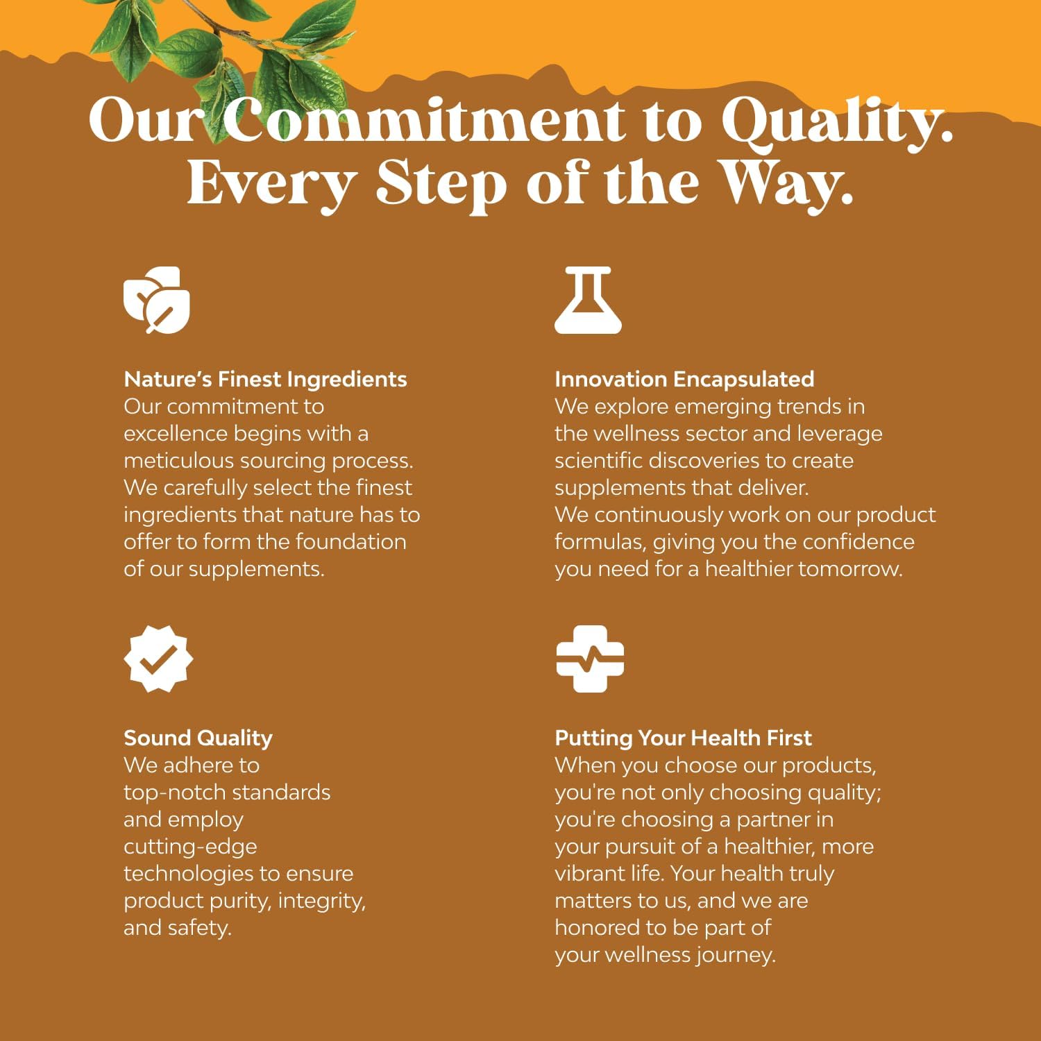 Organic Turmeric Liquid Drops for Adults - Turmeric Curcumin with Black Pepper, Cinnamon & Ginger Extract Liquid for Joint Pain, Mobility & Inflamation - Curcumin Drops for Immune Support - 2 Fl Oz - Image 7