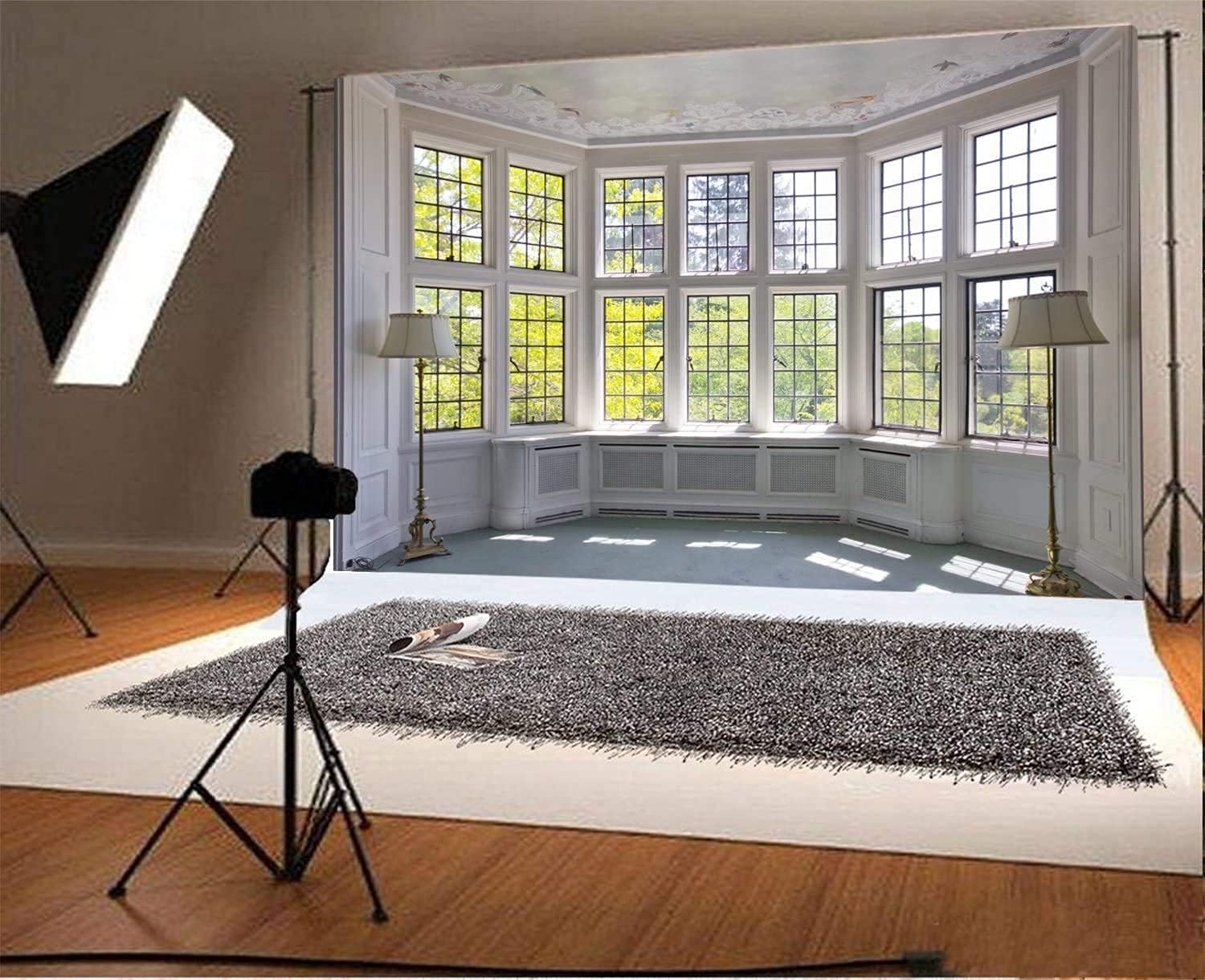 New Deal CSFOTO 12x8ft Big Bright Window Backdrop Zoom Room Background Window Garden Backdrop Living Room Online Meeting Background Video Conferencing Background Backdrops for Video Recording