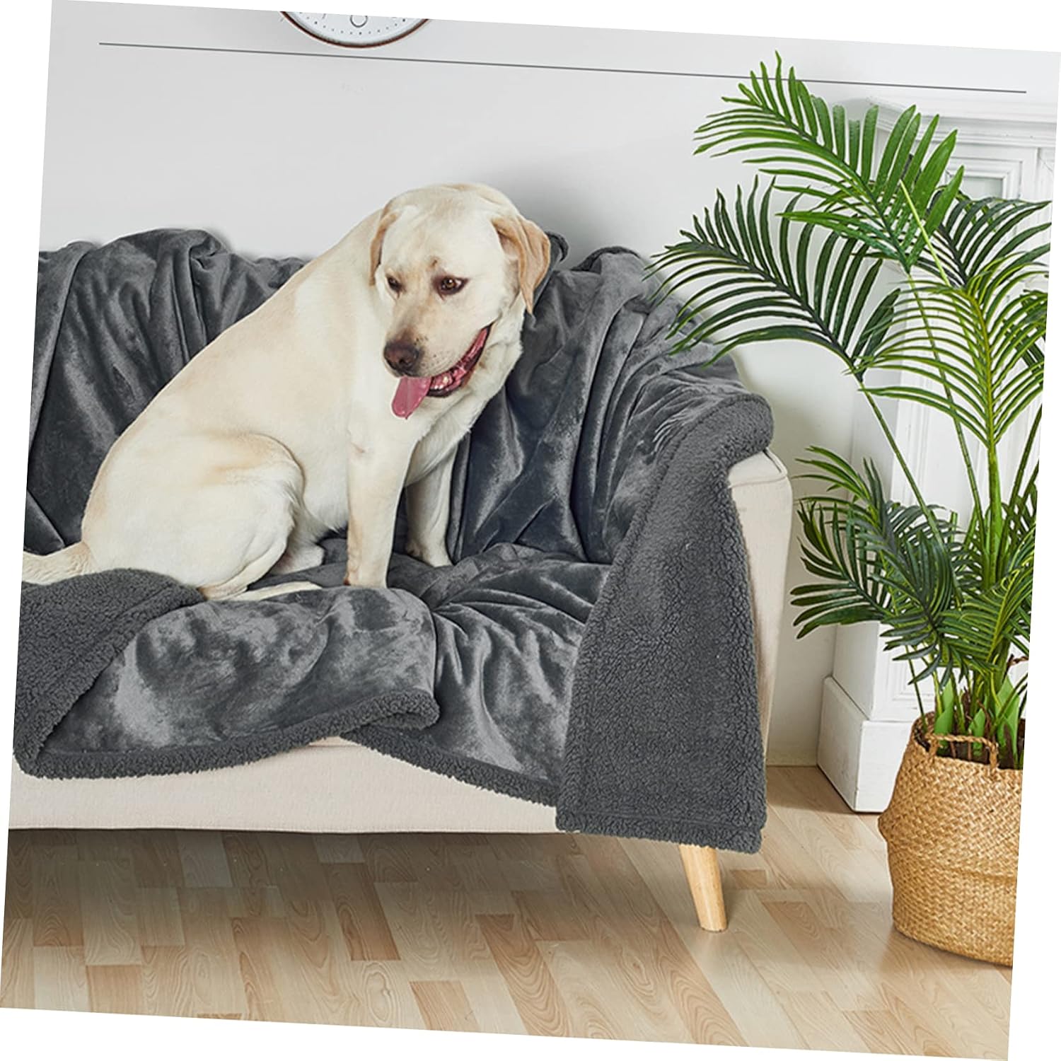 Mikikit Pet Blanket for Dogs Cats Cozy Fleece Throw Warm Pet Mat Portable Soft for Use