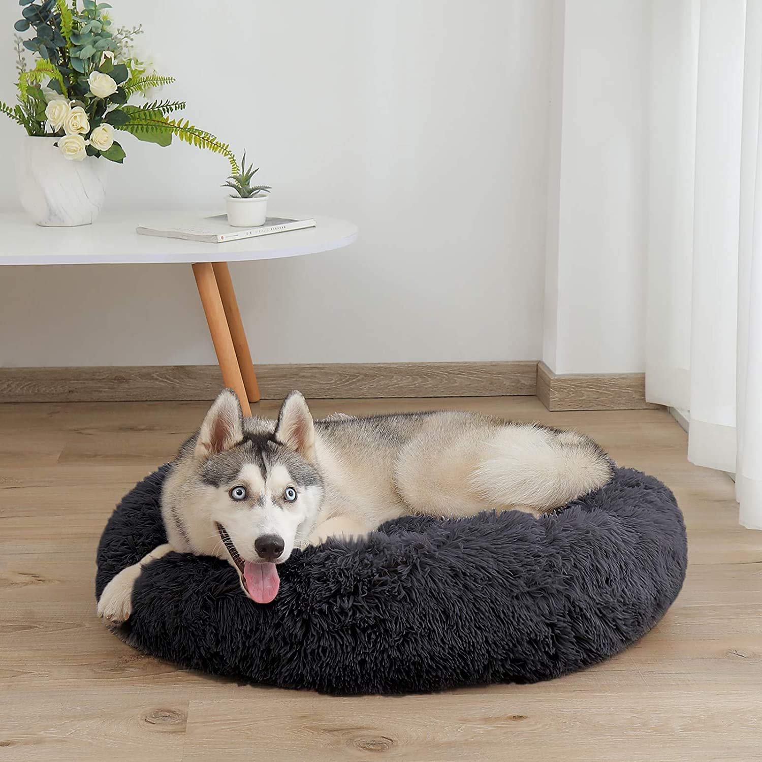 Flauschiges Donut-Hundebett, Rund, Waschbar – Größe M (70 Cm), Dunkelgrau, Für Hunde & Katzen