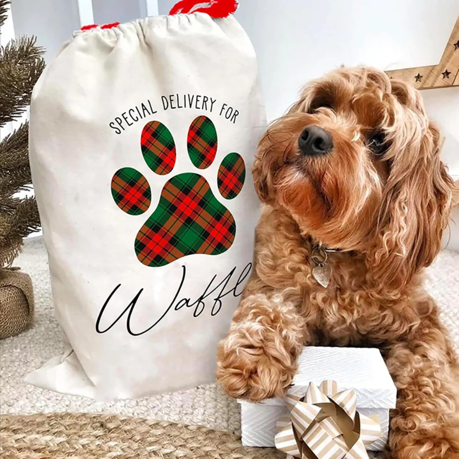 Personalized Gift Bags with Name - Custom Christmas Stocking for Pets, Dog & Cat Santa Sacks, Xmas Treat Gift Bags