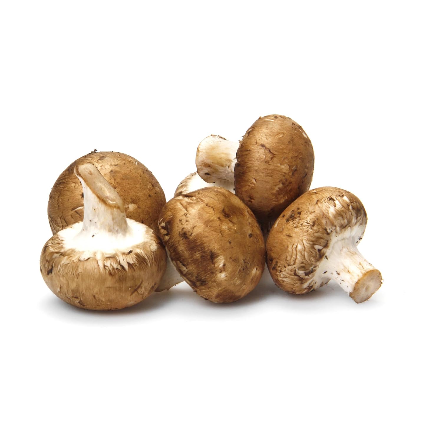 Baby Bella Mushrooms, 8 oz Baby Bella Mushrooms, 8 oz