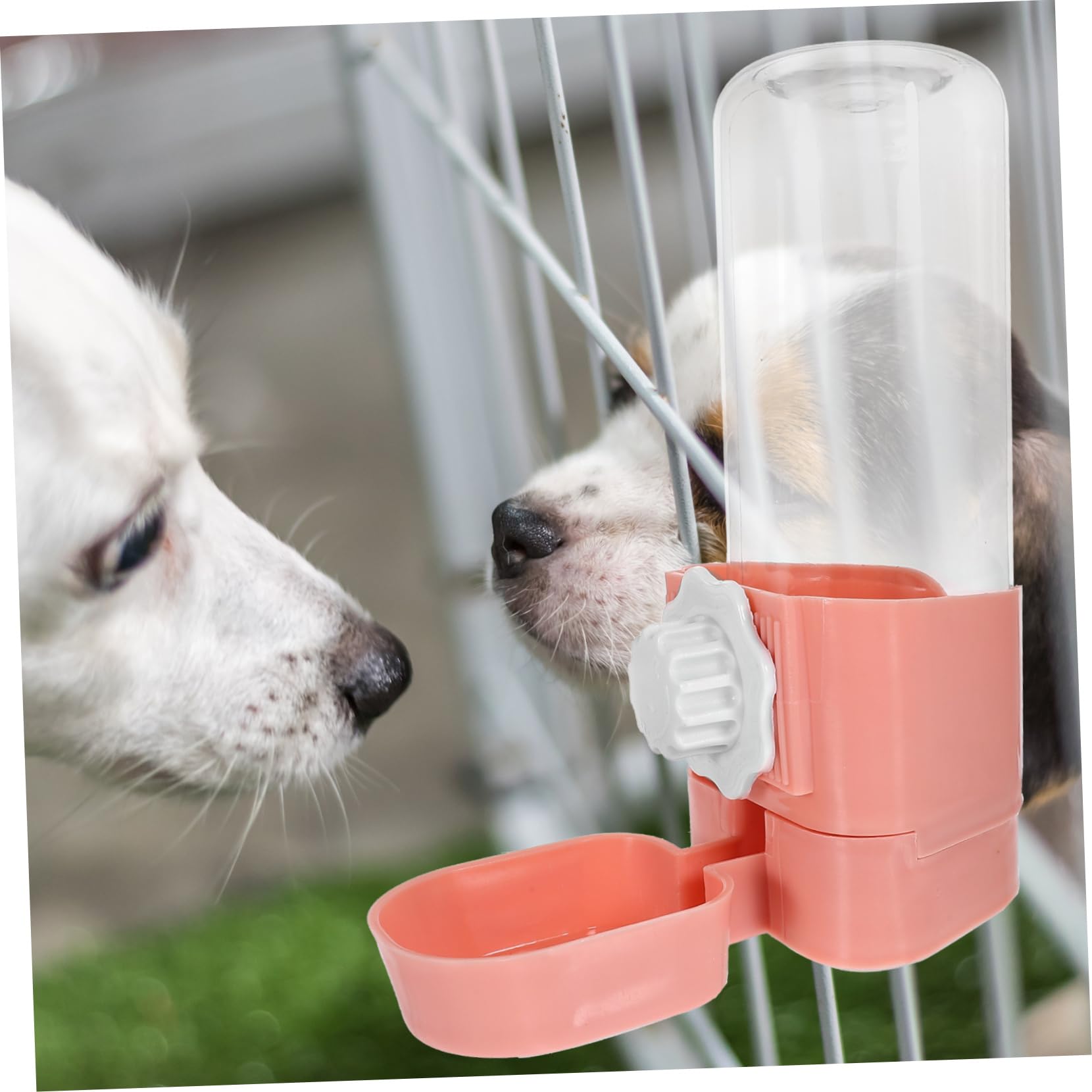 SUPVOX 3piezas Botella De Agua Colgante para Hamsters y Dispensador Automático De Agua para Accesorio De Práctico y Conveniente para Conejos y Chinchillas