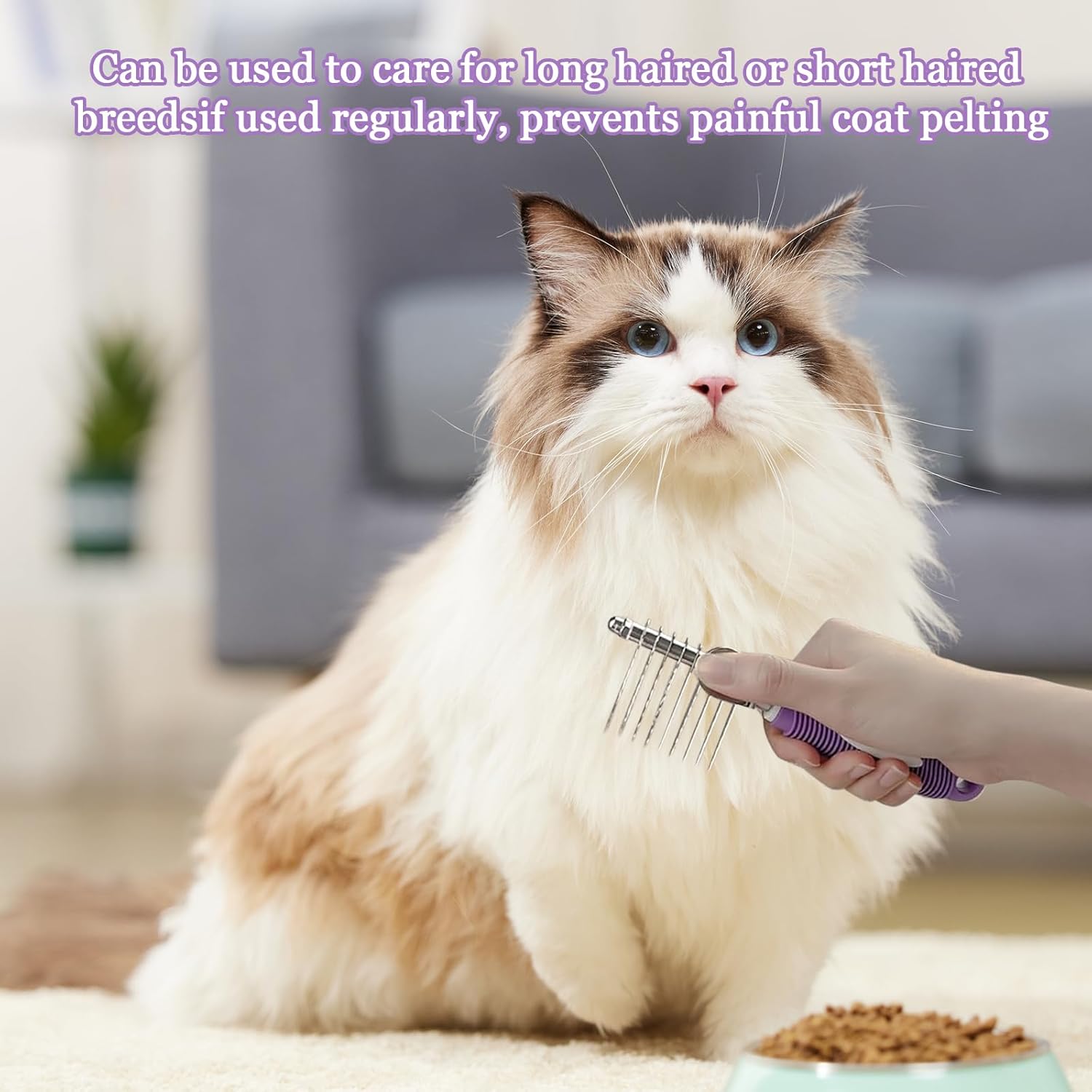 The Ultimate Pet Grooming Tool: Review of the Stainless Steel Cat and Dog Brush