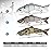 TRUSCEND Easy Catch Swimmax, Magic Noisy Turbulent Wiggling and Vibrating Actions for More Bites, Segmented Swimbait Jointed by Metal Hinge, Lifelike Fishing Lures for Relax Family Fishing