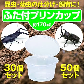 カブト虫、クワガタ虫等産卵飼育セット一式　ブロック崩し付き カブト虫、クワガタ虫等産卵飼育セット一式ブロック崩し付き