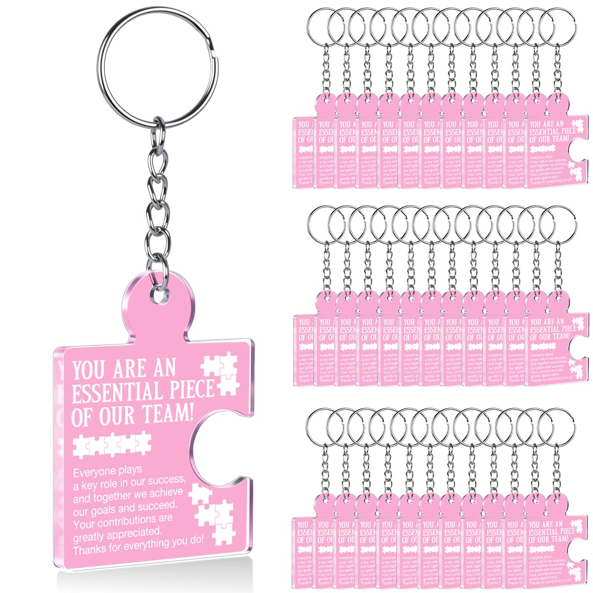Team Appreciation Gifts Bulk Thank You Keychains for Coworkers