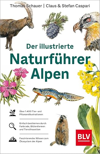 Der illustrierte Naturführer Alpen (BLV Naturführer)