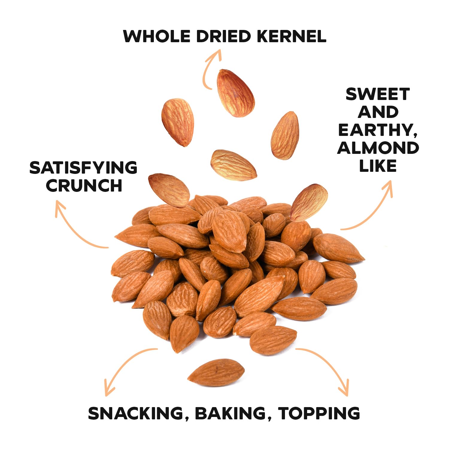 Drybox Sweet Apricot Kernels Seeds Raw Natural Organic NonGMO Vegan Kosher Source of Vitamin B17 and B15, Resealable Bag 16 oz/ 1 lb Bag, 1 Pack for snacking baking cooking