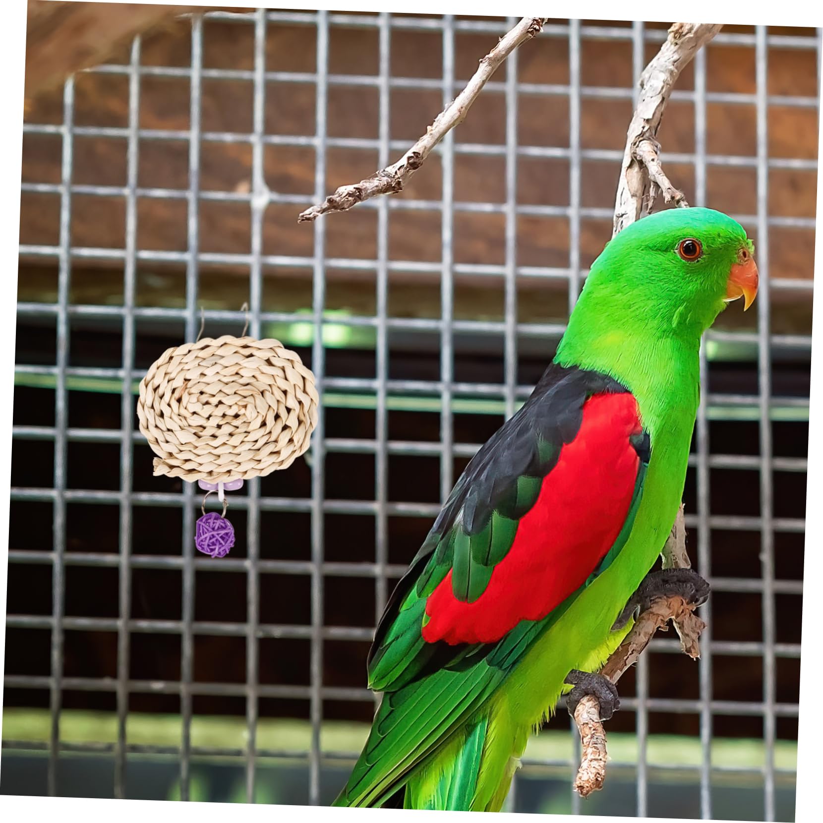 BESPORTBLE 5pièces Jouet à Mâcher Suspendu pour Perroquets Accessoire De Cage pour Oiseaux Jouet De Déchiquetage Et Divertissement pour Oiseaux pour Entraînement Broyage Dents