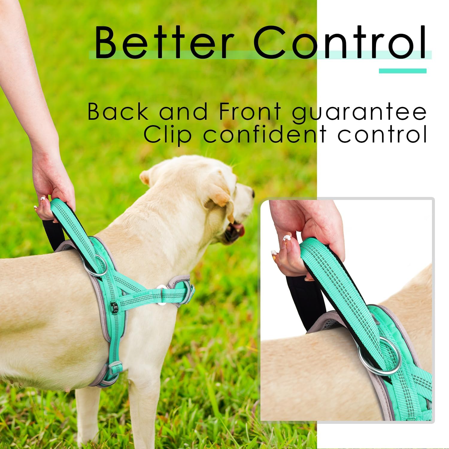 ADVENTUREMORE Small Dog No Pull Harness with QR Code Tag, Adjustable Reflective Vest, Front Clip Handle for Training Walking Teal