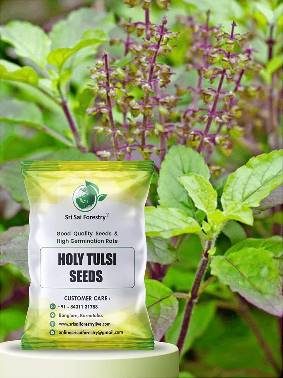SRI SAI FORESTRY Tulsi Plant Seeds, Basil Seed, Indian Holy Tulsi Seed - Pack of 1500 (B0B9JY3KVR) Amazon Price History, Amazon Price Tracker