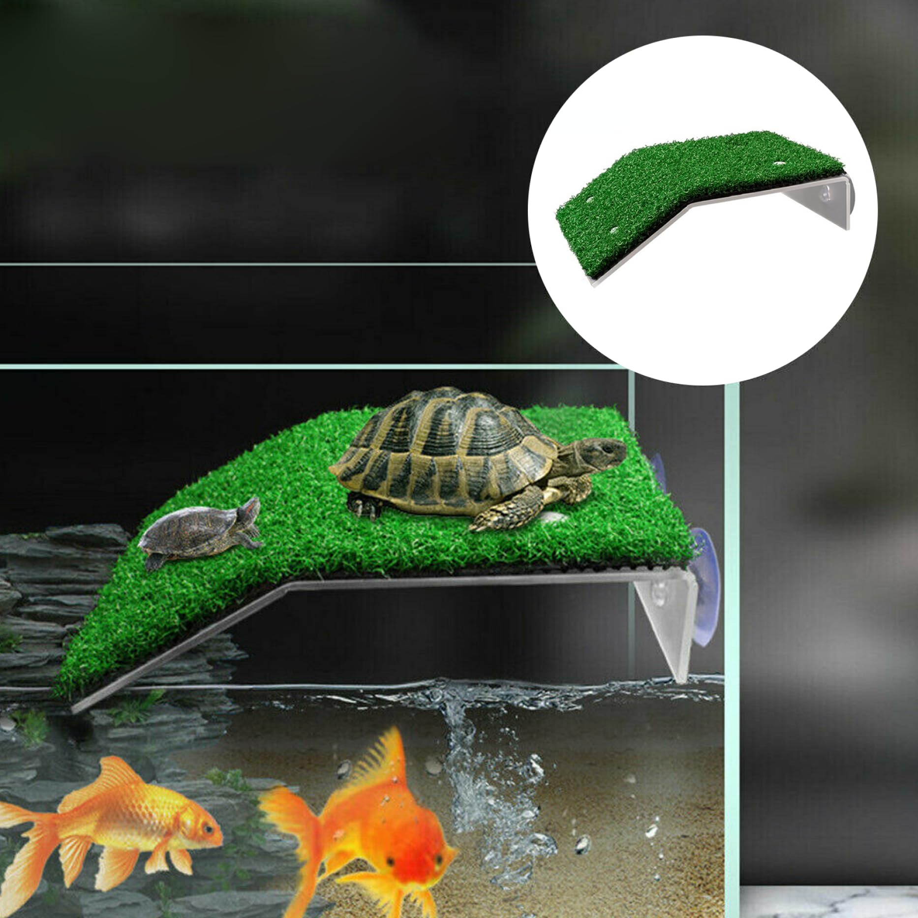 Turtle Habitat Plataforma Para Tomar El Sol Para Tortugas Con Ventosa Oso De Hasta 2 Kg Escalera Para Subir Tortugas De Resina Terraza De Descanso Accesorios Para Tanque De Tortugas Para Rana Reptil