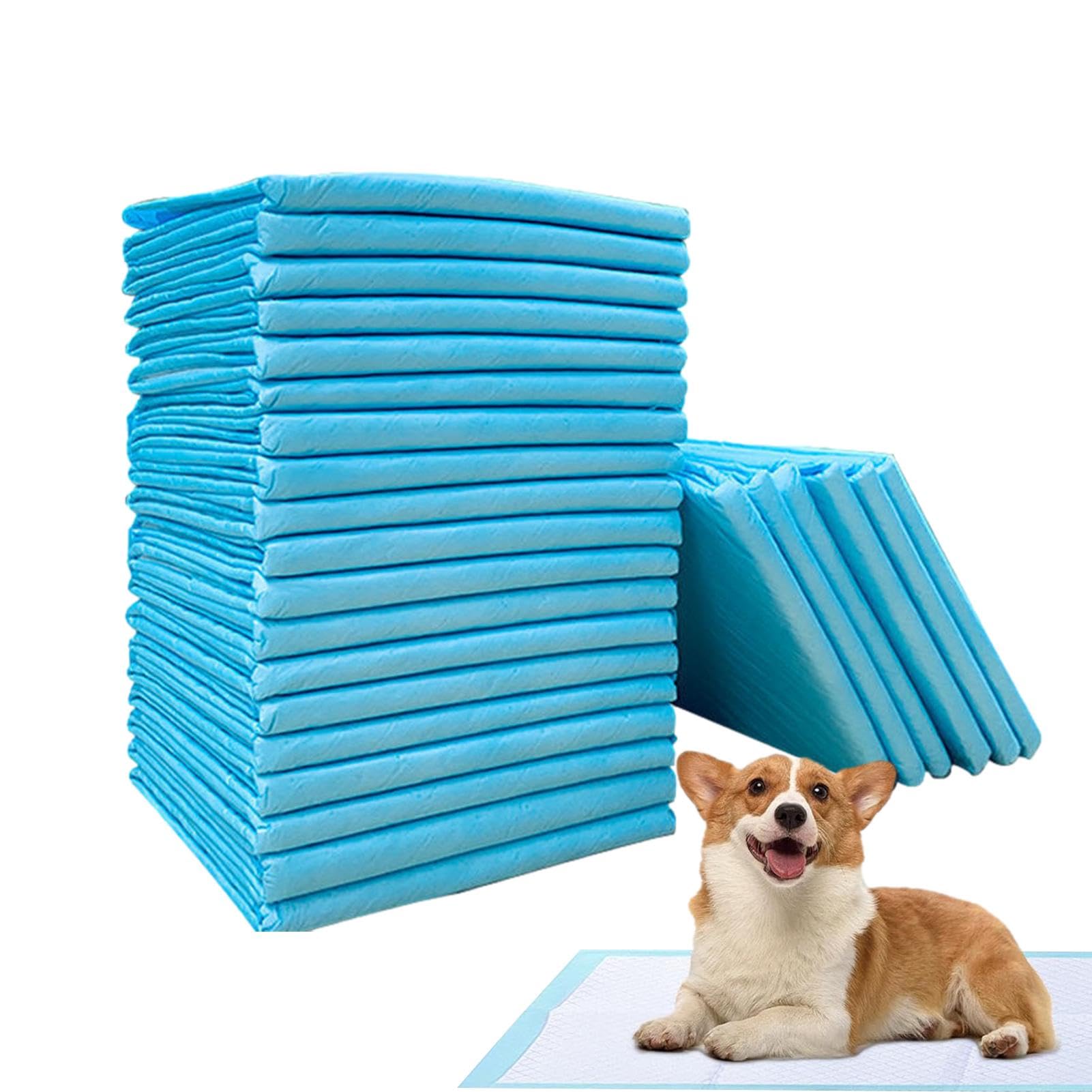 Tapis d'urine pour chiot et chat pour protéger vos sols des accidents intérieurs
