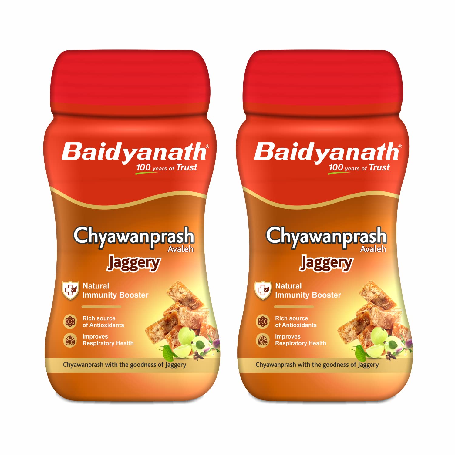 Baidyanath Ayurvedic Jaggery Chyawanprash, 750gm Pack of 2 for ₹285.