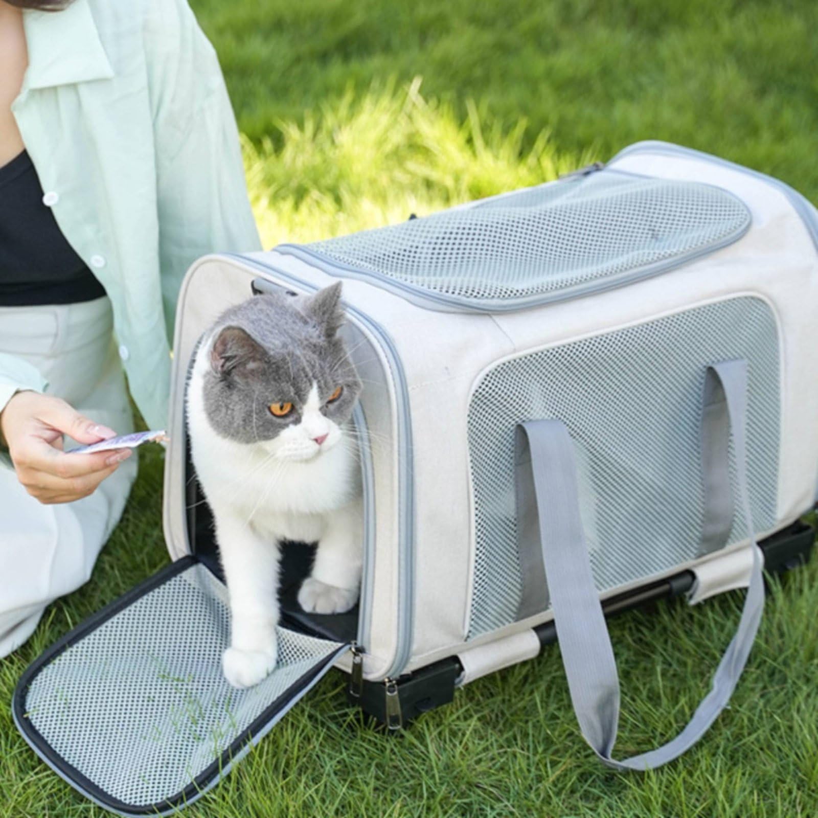 predolo Transportín Plegable con Malla Portátil Transportín Plegable Asa Doble Bolsa Bolsa para Mascotas para Viaje, S