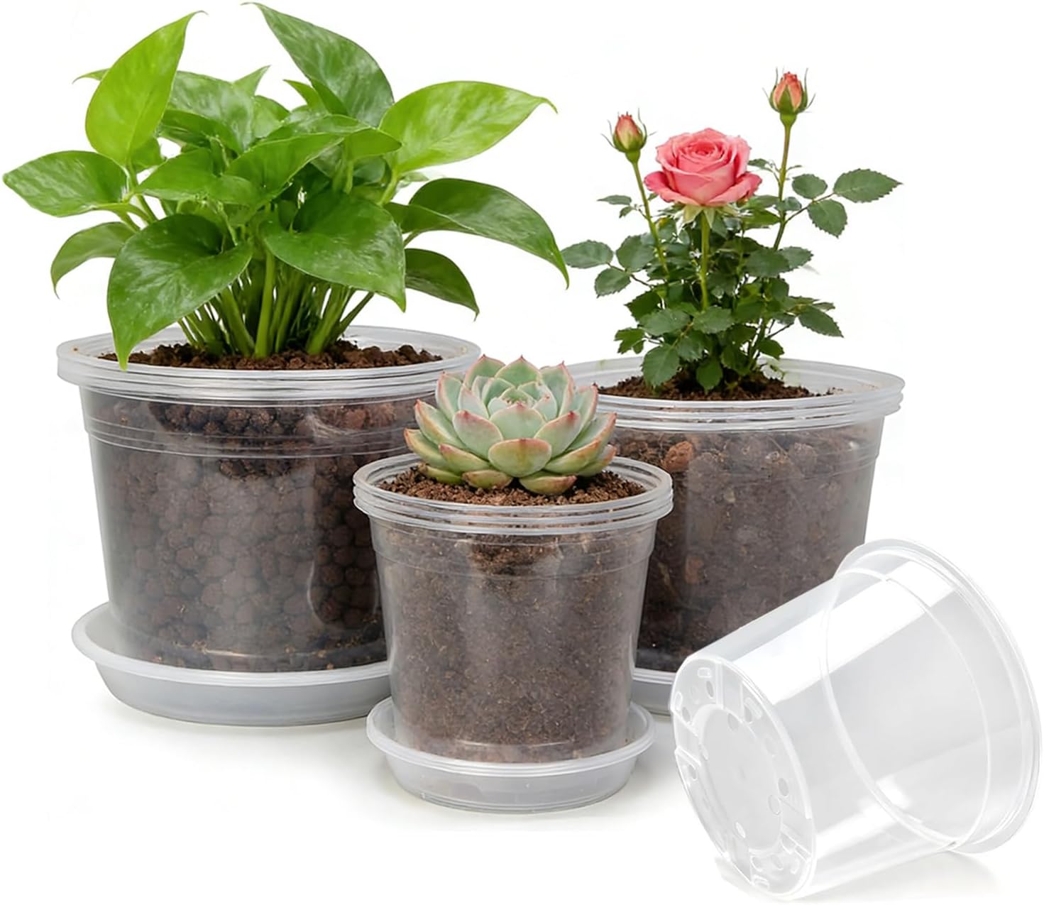 7/8/10 Inch Large Clear Nursery Pots with Drainage Holes, Thick Reusable Plastic Plant Pots for Indoor Outdoor Plants, Seedlings, Succulents, Transplanting (7/8/10 inch)