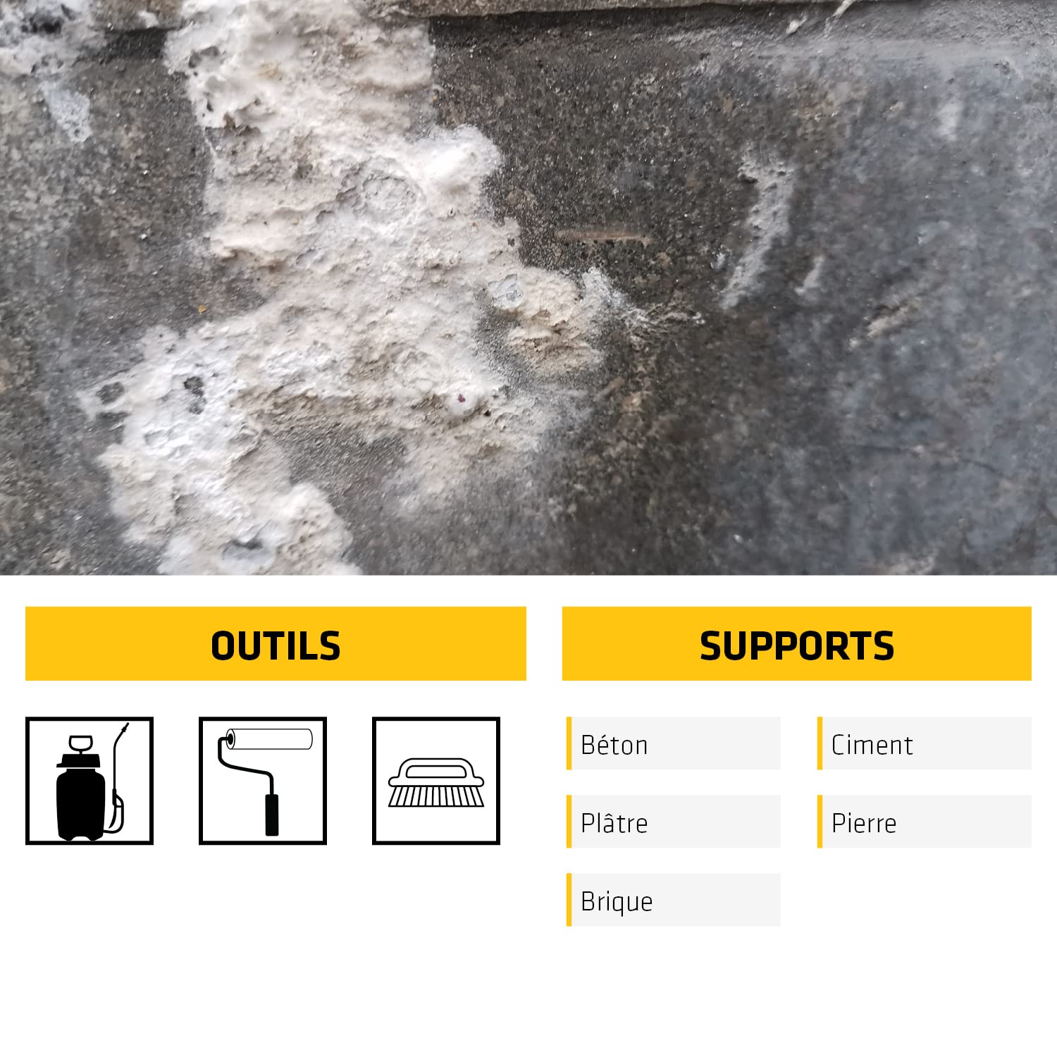 SIKA - Traitement bactéricide contre le salpêtre - Sikagard 165-5L