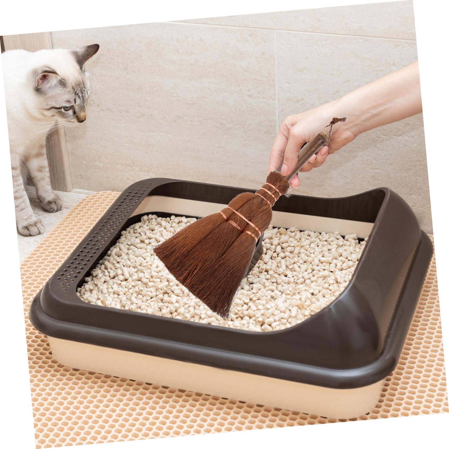 Beavorty 2 Ensembles Outil De Nettoyage pour Animaux De Compagnie Manche en Bois Pelle À Litière pour Chat Pelle À Litière pour Animaux De Compagnie Nettoyeur De Bac À Litière pour Chat