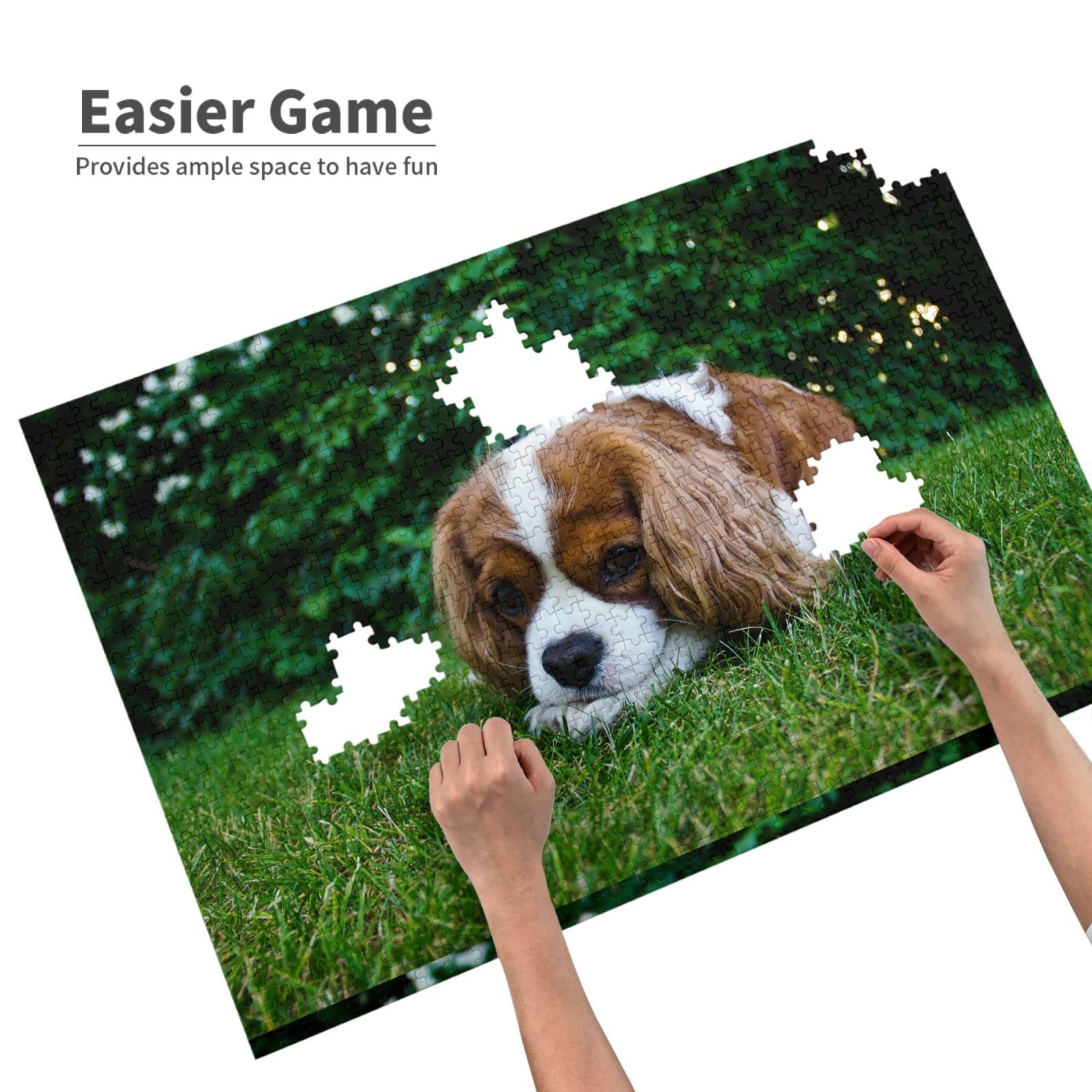 Gioco di puzzle per adulti, puzzle impegnativi, puzzle da 1000 pezzi, Cavalier King Charles Spaniel marrone bianco