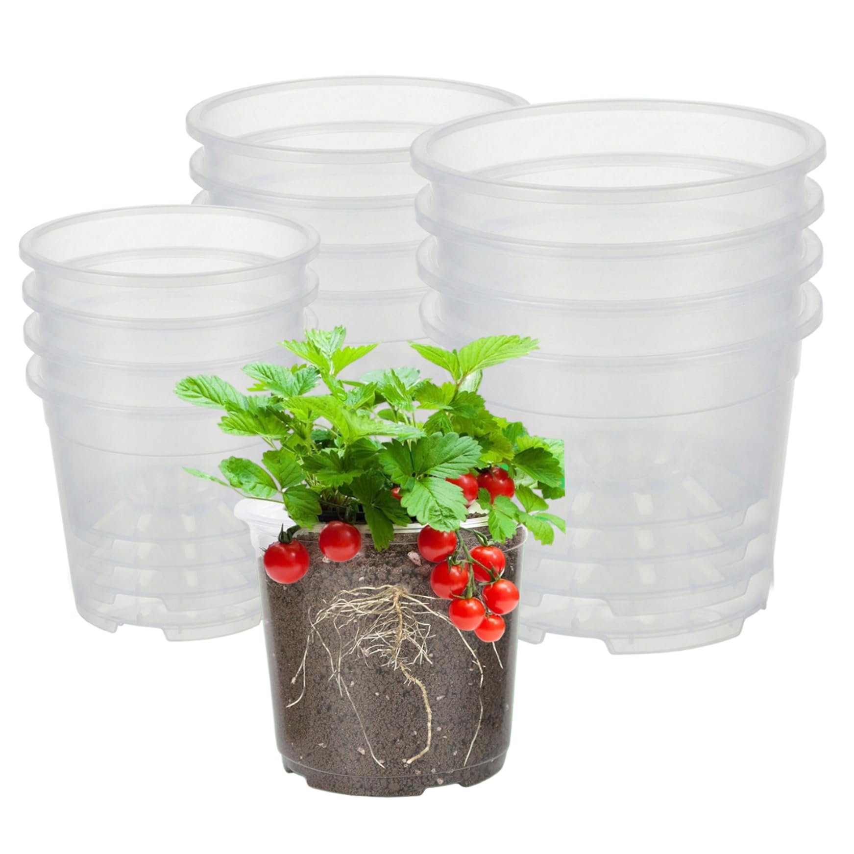 Pots plantes transparents 6 8 9 5 pouces lot de 12 contenant drainage racine