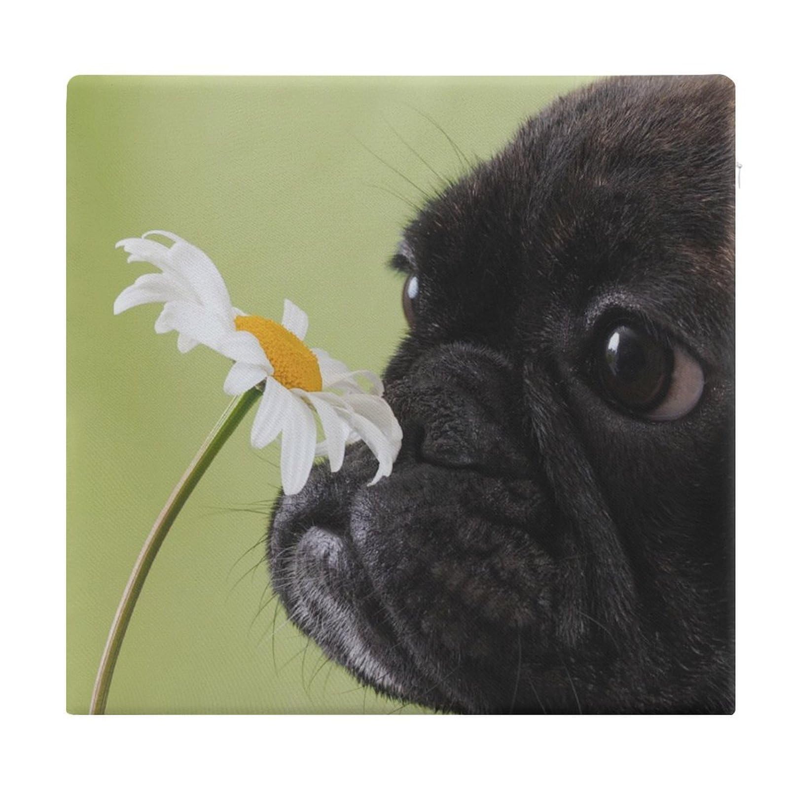 JZemdybill Chair Pad, Dog Pattern Pug Flower Seat Pad, Square Chair Cushion for Yoga Living Room Balcony