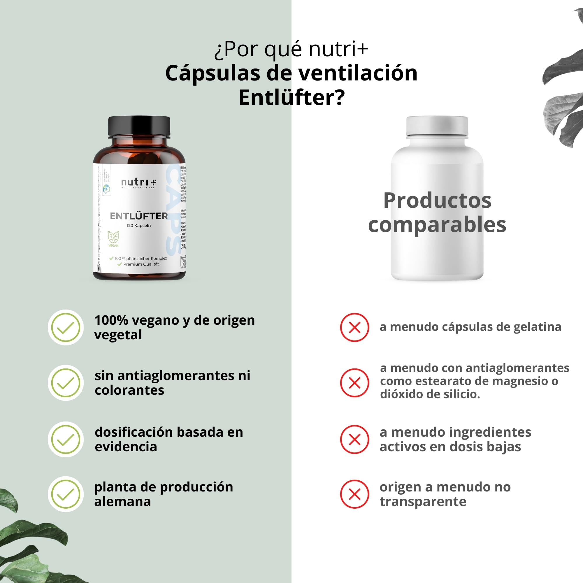 Nutri + Entlüfter 120 Cápsulas - para Gases e Hinchazón abdominal - Relajación gastrointestinal - Comino negro, Anís, Cúrcuma, Jengibre, Hinojo