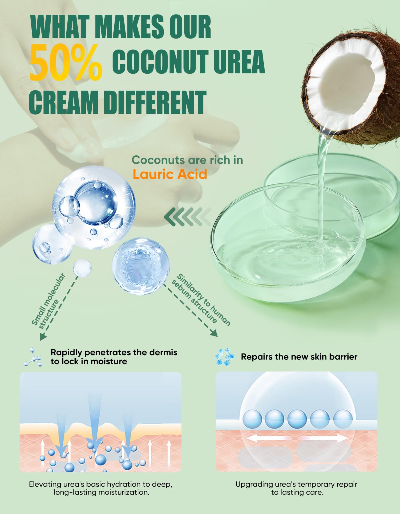 Crema Urea 50% per piedi Spessore massimo 150 grammi con cocco e 2% acido salicilico, crema piedi e mani con acido ialuronico, tea tree e aloe vera per umidificazione profonda, calli