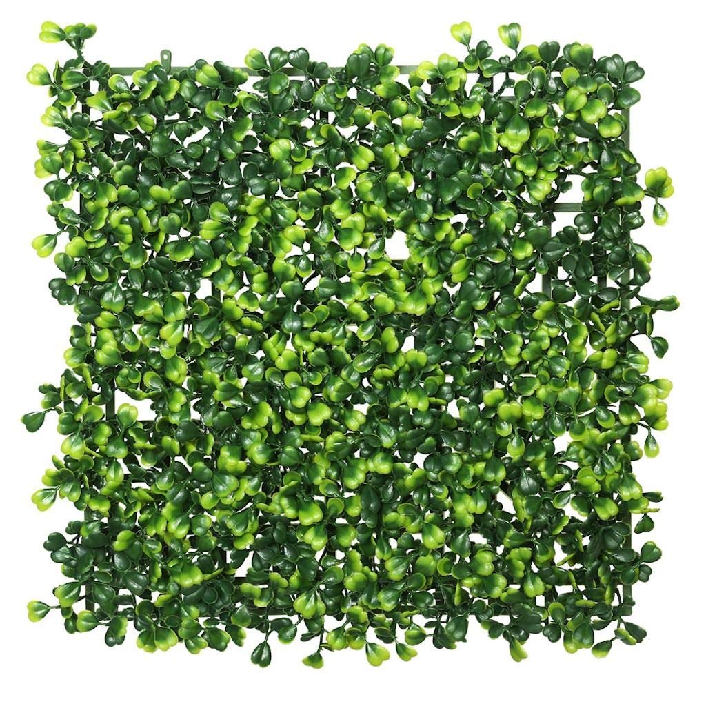 10x 10 Boxwood Mat Pk/4