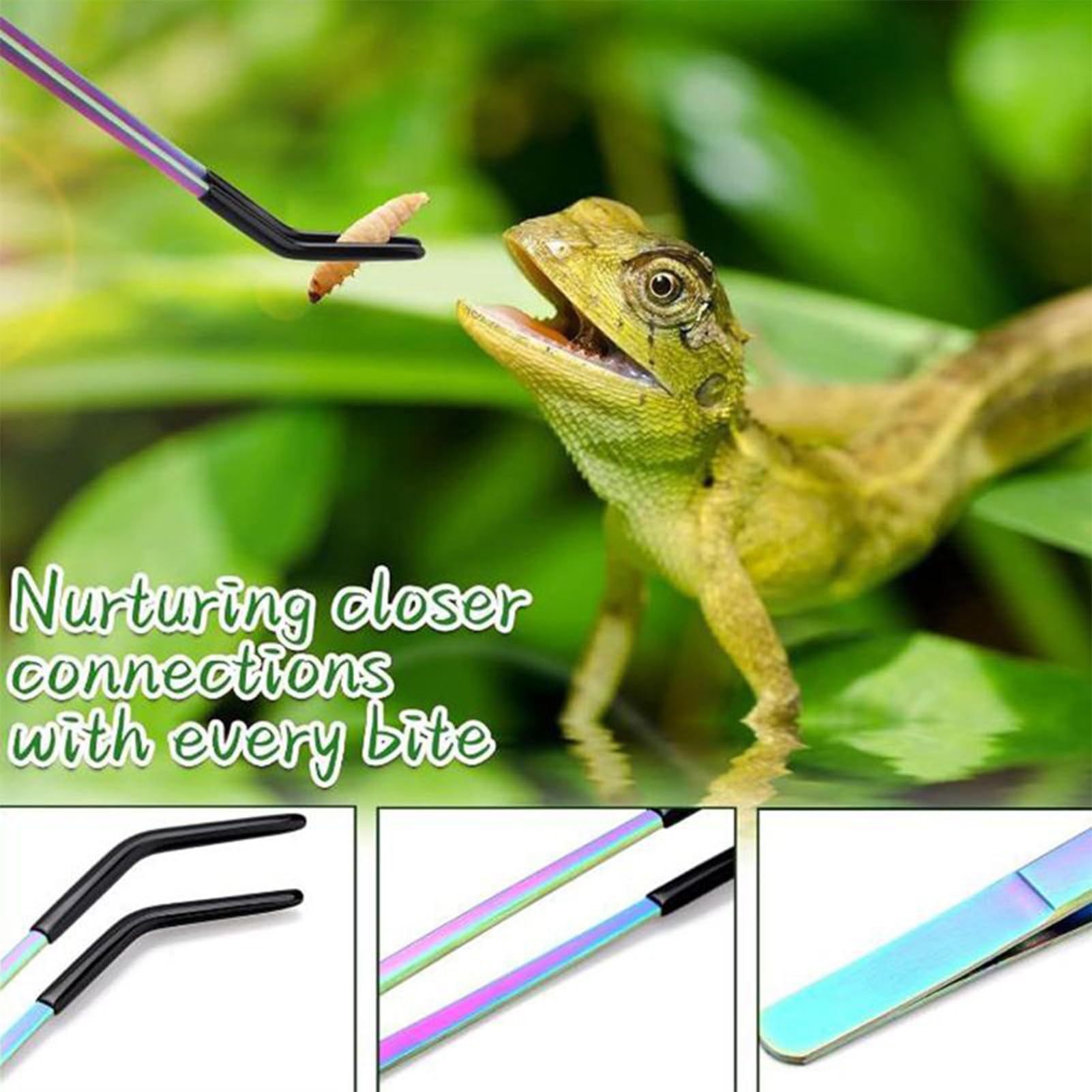 Pinces de Nourrissage - Pinces Droites et Courbes - Tête en Silicone Antidérapante pour Reptiles Aquatiques Aquarium Domestique