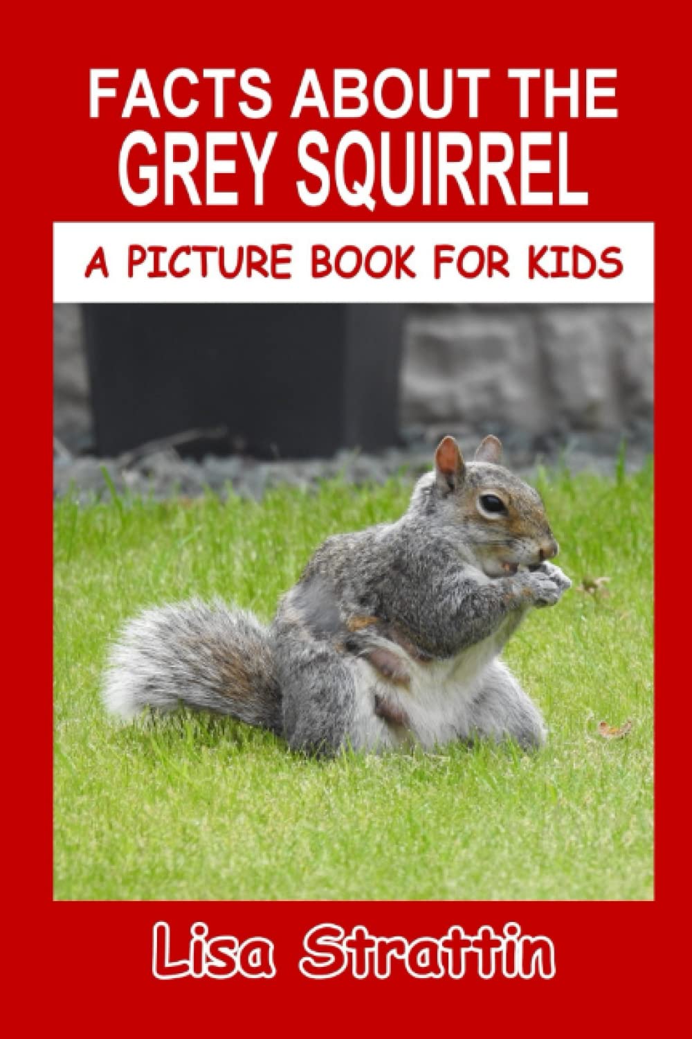 Facts About The Grey Squirrel (A Picture Book For Kids)